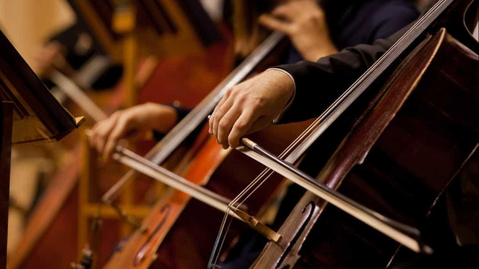 Violoncelo