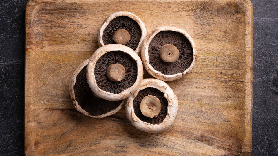 cogumelos