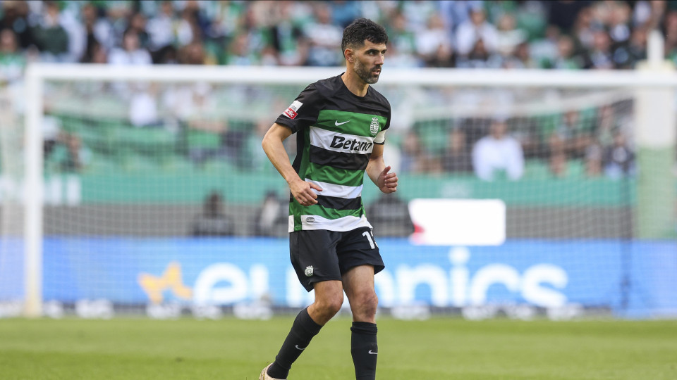 luis neto