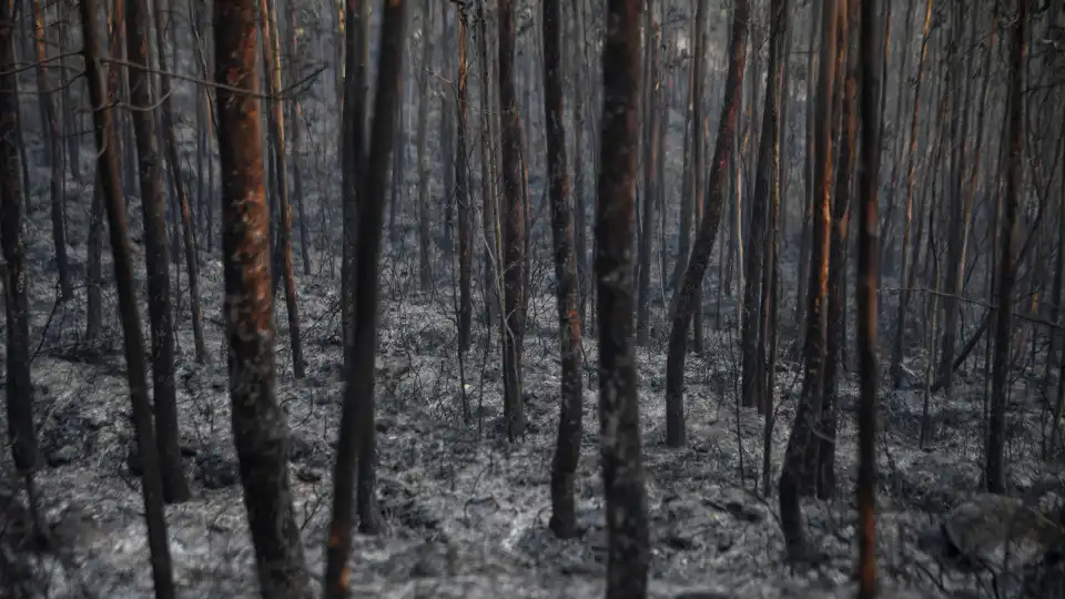 incendio