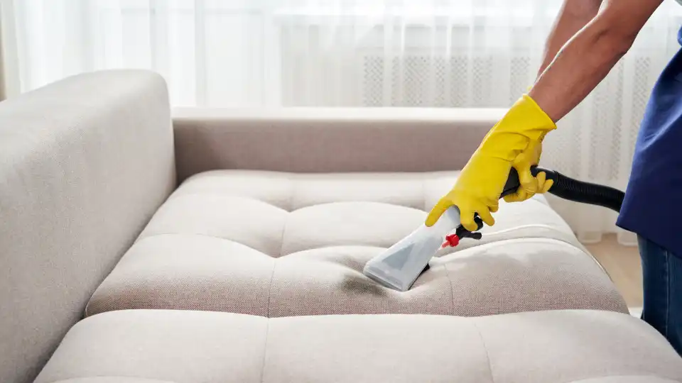 aspirar sofa