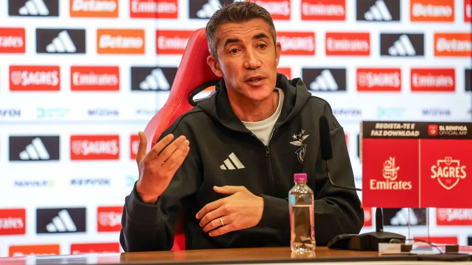 Bruno lage