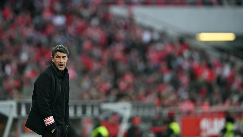 Bruno lage