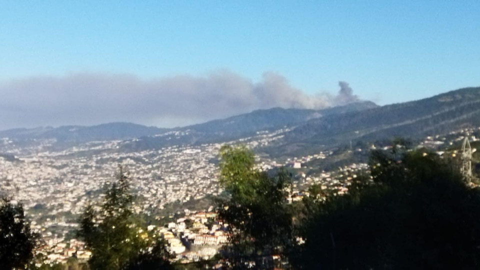 Fogo madeira