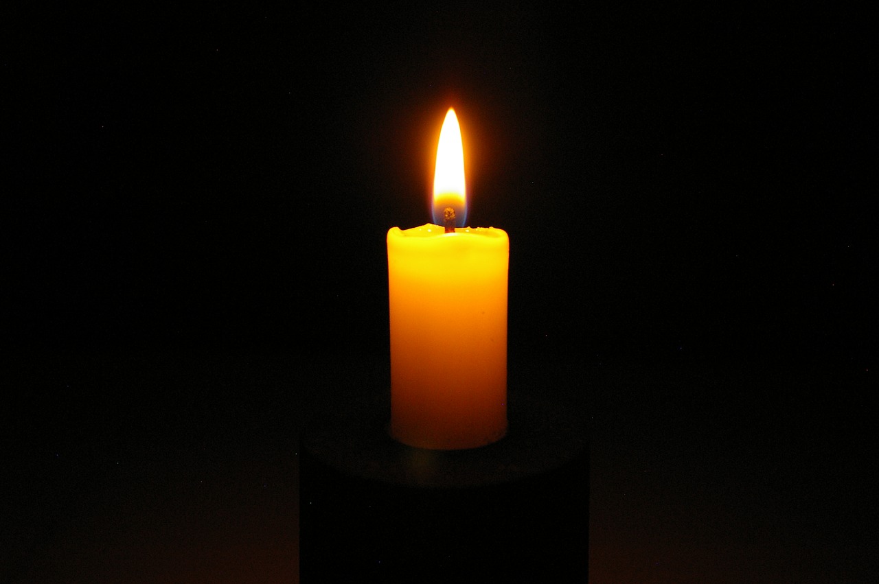 Vela
